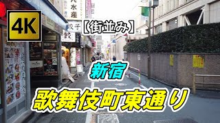 【4K 街並み】新宿 「歌舞伎町東通り」を散策（撮影 2020/10）