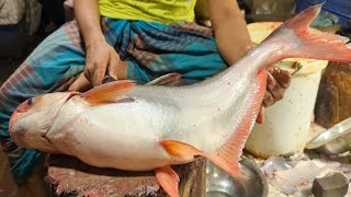 Amazing Big Pangas Fish Cutting Skills In Fish Market - Bangladesh