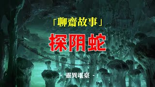 聊斋故事：探阴蛇丨奇闻异事丨民间故事丨恐怖故事丨鬼怪故事丨灵异事件丨