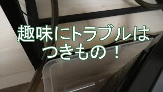 10年以上前の道具でまた水槽をやりたい！①