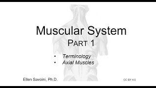Axial Muscles & Terminology (BIO 201 Human Anatomy & Physiology I)