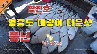 영흥도배낚시 광어다운샷 낚시 인천이 그렇게 잘 나와?