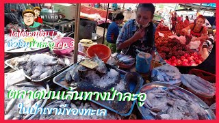 ตลาดหนองพลับ บนเส้นทางป่าละอู ตลาดป่าเขาแต่มีของทะเล หัวหินป่าละอู ep 3