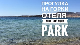 Прогулка по территории отеля Pickalbatros aqua park январь 2024