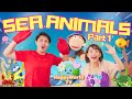 English Adventures: Sea Animals part 1