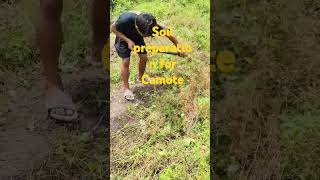 Soil preparation for Camote #trending #farming #viralvideo #shorts #dj #music