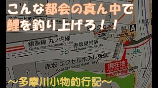 【大物釣り】多摩川小物釣行記～番外編①～