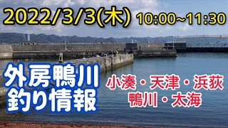 外房鴨川エリア釣り情報2022/3/3(木)10:00~11:30