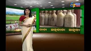 ଅନ୍ନଦାତା | Annadata |  ଆମ୍ବ ଗଛ ଚାଷ  | 21th Oct 2017 | ETV News Odia