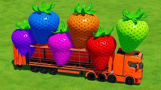 LOAD & TRANSPORT COLORED STRAWBERRIES WITH SCANIA TRUCK - Farming Simulator 22