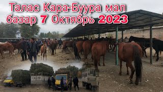 Талас Кировка мал базар 7 Октябрь 2023