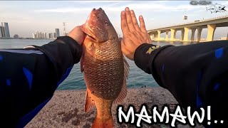 ultralight fishing the hunt for mangrove snapper... Y2-E30🇦🇪🇵🇭