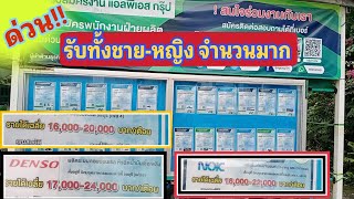 รับฝ่ายผลิต‼️รับขั้นต่ำ 15,000 - 24,000 บาท/เดือน