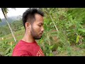 masya allah hidup di desa alam desanya indah menyenangkan gunung bukit sawah subur menghijau