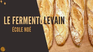 Découvrez le fermentolevain - Ecole de Boulangerie Noé