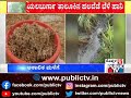 koppal onion chilli u0026 paddy crops destroyed due to rain