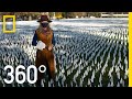 Visualizing the COVID-19 Tragedy - 360 | National Geographic