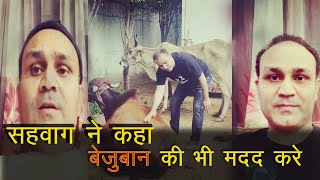 वीरेन्द्र सहवाग ने कहा बेजुबान जानवरो की भी मदद करें। Virender Sehwag says help animals