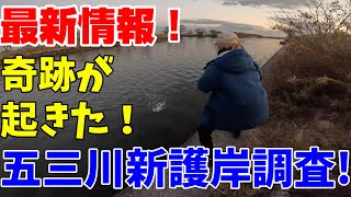 最新情報！奇跡が起きた！！五三川新護岸エリア釣果調査！！【バス釣り】【シャーベットヘアーチャンネル】