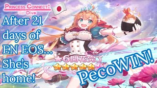 Pecorine 6 star Quest! Can this Noob win on JP Server? | Princess Connect! Re: Dive