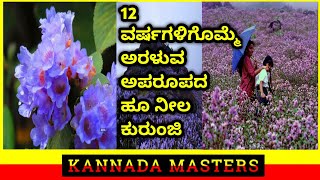 Blue Kurinji flower |Kannada| 12 ವರ್ಷಗಳಿಗೊಮ್ಮೆ ಅರಳುವ ನೀಲ ಕುರುಂಜಿ ಹೂವಿನ ಬಗೆಗಿನ ಆಶ್ಚರ್ಯಕರ ವಿಷಯಗಳು