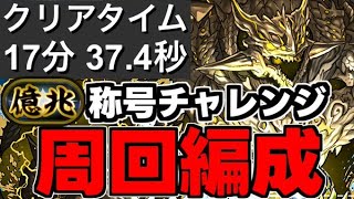 【億兆チャレンジ】爆速攻略！組めれば勝ち！億兆チャレンジアグリゲート周回編成 代用＆立ち回り解説！【パズドラ】