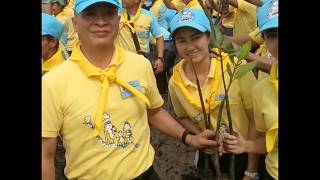 กองปราบปราม จัดกิจกรรมจิตอาสา ปลูกป่าชายเลน ณ สถานตากอากาศบางปู