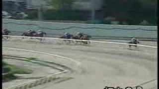 ２００５年度福山競馬Ａ１競走「雲南市長杯」