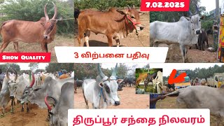 3 விற்பனை பதிவு மற்றும் திருப்பூர் சந்தை நிலவரம், காங்கேயம் கால்நடை கண்காட்சி அழைப்பிதழ் AET 2025