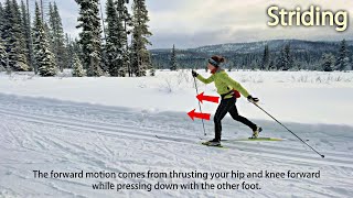 Basic Classic Ski Techniques: Striding