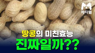 땅콩의 미친효능 진짜일까?? 50대 필수 견과류 건강식단 추천/건강관리의 첫걸음! #메타웰 #메타웰건강정보 #땅콩 #견과류 #시니어 #건강관리 #중년건강관리 #메타웰건강관리 #건강