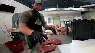 How to process a deer with Adams Meat processing! #whitetaildeer #deer #butcher #deermeat #beef