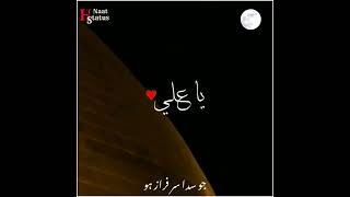 21 Ramzan Whatsapp Status | Hazrat Ali Shahadat status | Shahadat e Imam Ali | Haider Mola Ali Mola
