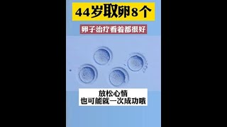 44岁一样可以取出来8个#試管 #备孕 #卵子