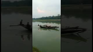 বিকালের সৌন্দর্য, আলহামদুলিল্লাহ #shortvideo #youtube