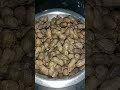 boiled groundnuts avicha ver kadalai 🥜🥜 shorts