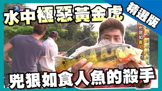 【巴拿馬】運河中釣極惡黃金虎 水中殺手孔雀鱸｜《世界第一等》631集精華版