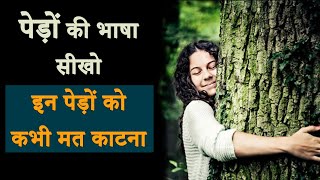 पेड़ों की भाषा सीखो इन पेड़ों को कभी मत काटना  Don't Cut These Trees