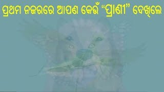 ପ୍ରଥମ ନଜରରେ ଆପଣ କେଉଁ “ପ୍ରାଣୀ” ଦେଖିଲେ କୁହନ୍ତୁ ଆଉ ନିଜ ବିଷୟରେ ବହୁତ ଗୁଡିଏ ଗୁପ୍ତ କଥା ଜାଣନ୍ତୁ