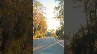 USA roads #shorts #usa #car #travel #america #road #floridadrive