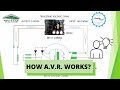 FUNCTION OF ALTERNATOR A.V.R.