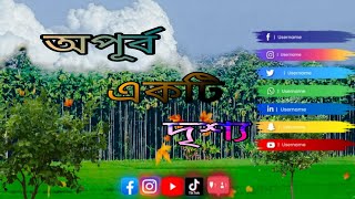 অপূর্ব একটি সুন্দর দৃশ্য।A wonderful beautiful scene.