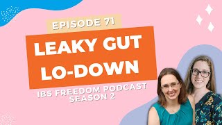 Leaky Gut Lo-Down  - IBS Freedom Podcast #171