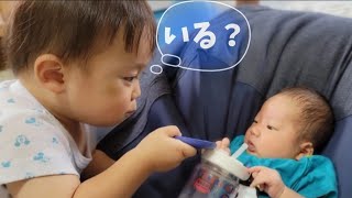 弟に対する1歳児の優しさ？愛情？意地悪？ Kindness of a one-year-old child to his younger brother