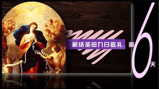 第六天 | 解结圣母九日敬礼