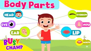 Kids vocabulary - Body - parts of the body - Learn English for kids - English educational video