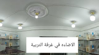 تعالوا نشوف أهمية الإضاءة في غرفة التربية  وركبنا كام لمباة👌