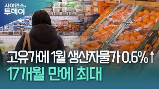 고유가에 1월 생산자물가 0.6%↑…17개월 만에 최대 / YTN 사이언스