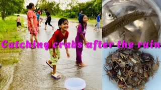 ចាប់ត្រី ក្តាមក្រោយភ្លៀង Catching crabs after the rain