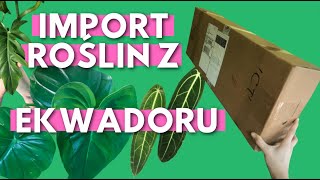 Zamówiłam nowe rośliny | import roślin z Ekwadoru | unboxing roślin z Ecuagenera #1